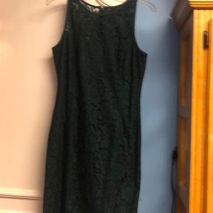NWOT fancy lace WHBM dress